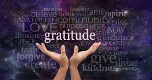 The Power of Gratitude Cultivating a Positive Mindset